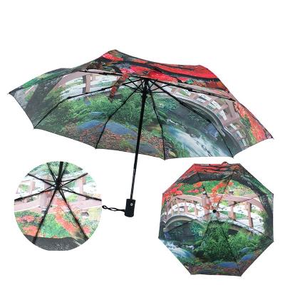 Digital Printing Fold umbrella